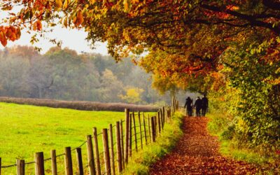 Seasonal self-care: mental health tips for autumn and winter