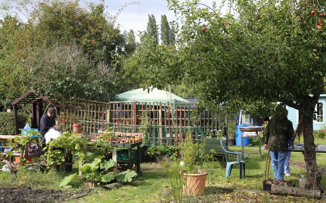 Mindful in nature: celebrating wellbeing and the outdoors through poetry