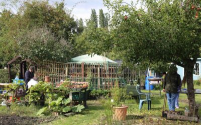Mindful in nature: celebrating wellbeing and the outdoors through poetry