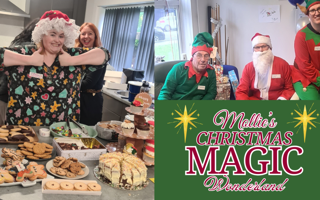 Mollie’s Magic Christmas Wonderland