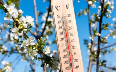 Staying safe in the heat: what you should know if you’re taking antidepressants