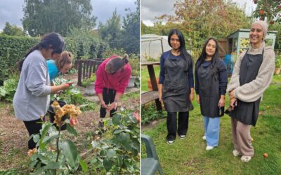University of Warwick students go green at Mind Allotments