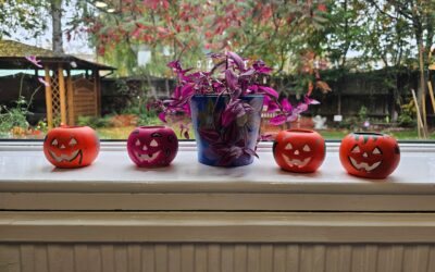 Creativity, connection and colour at our LGBTQIA+ wellbeing group